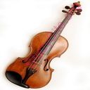 violin (Oops! image not found)